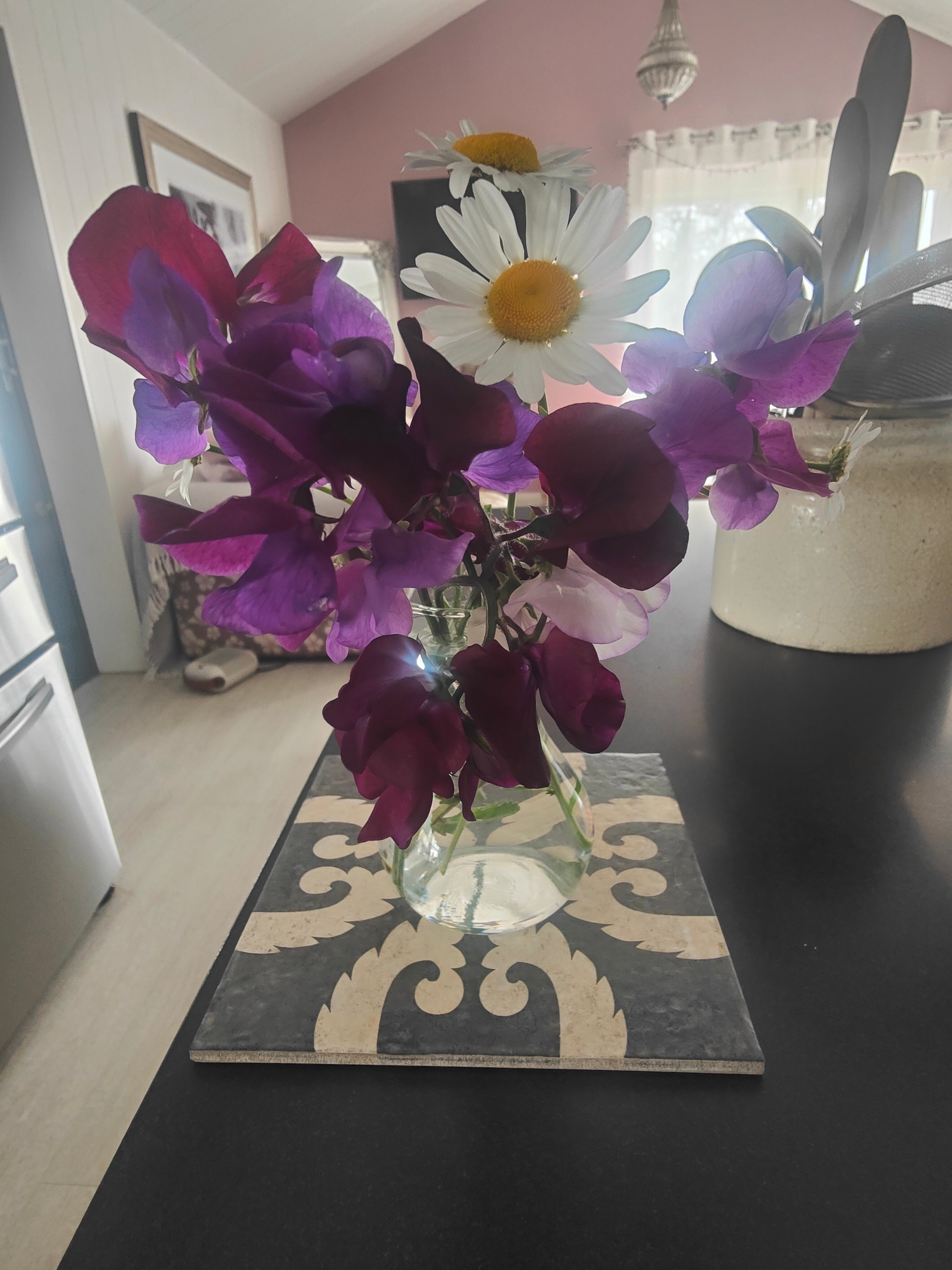 Patience: Lessons from the Garden