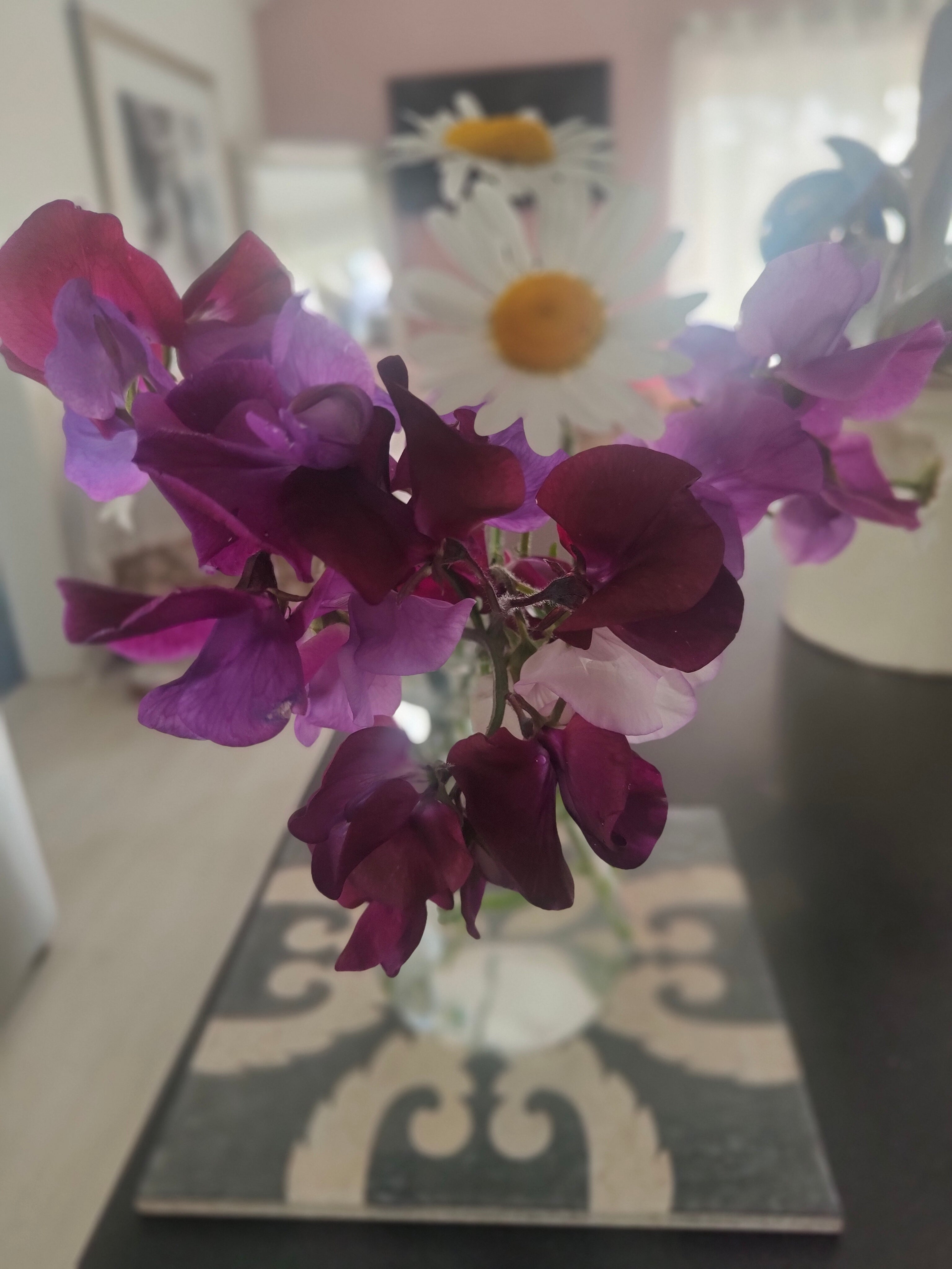 Patience: Lessons from the Garden
