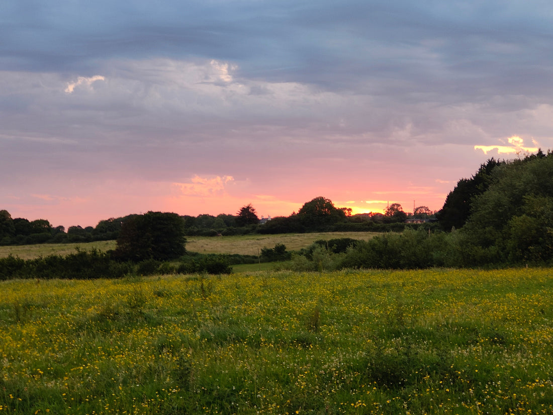 The Importance of the Summer Solstice
