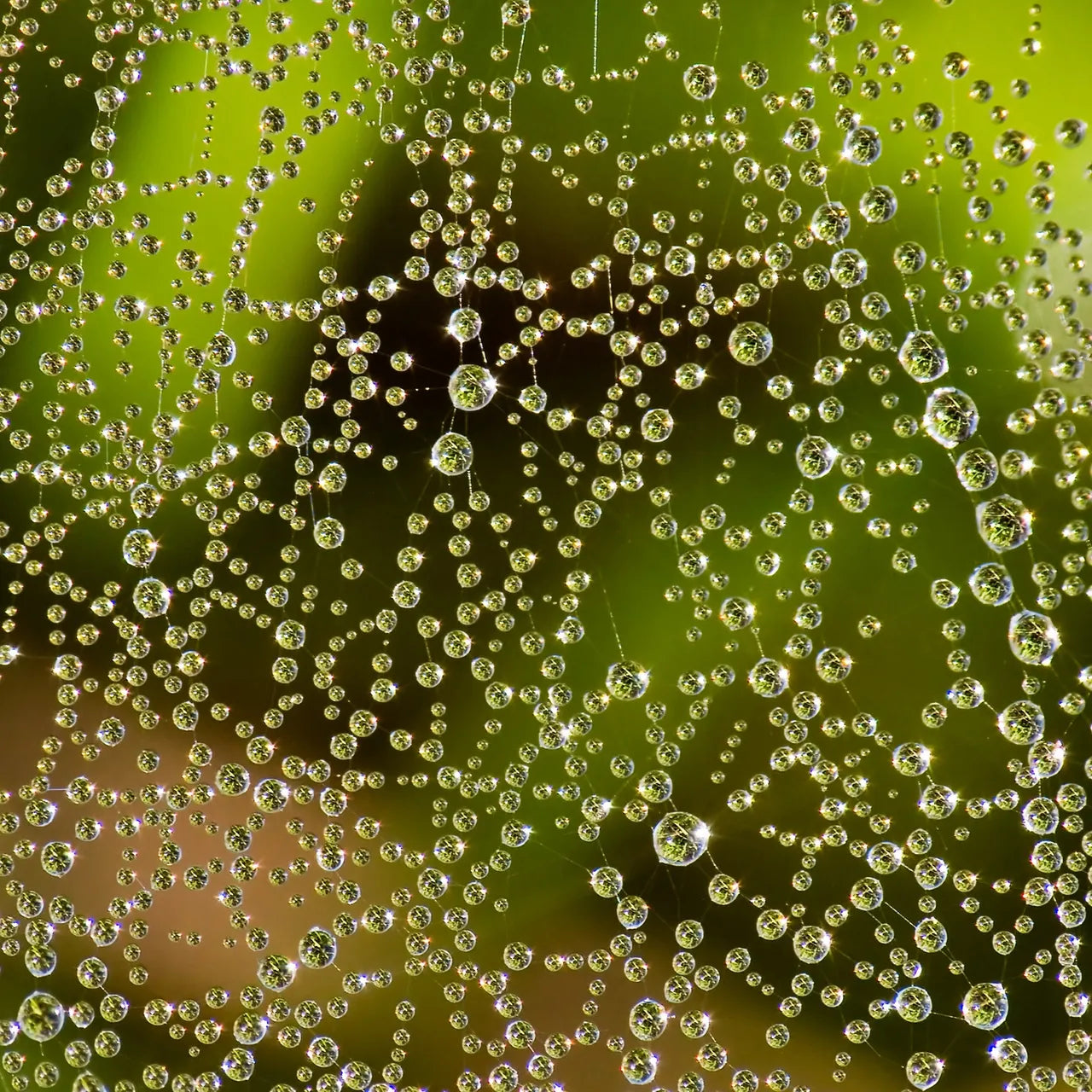 Connecting the Dots